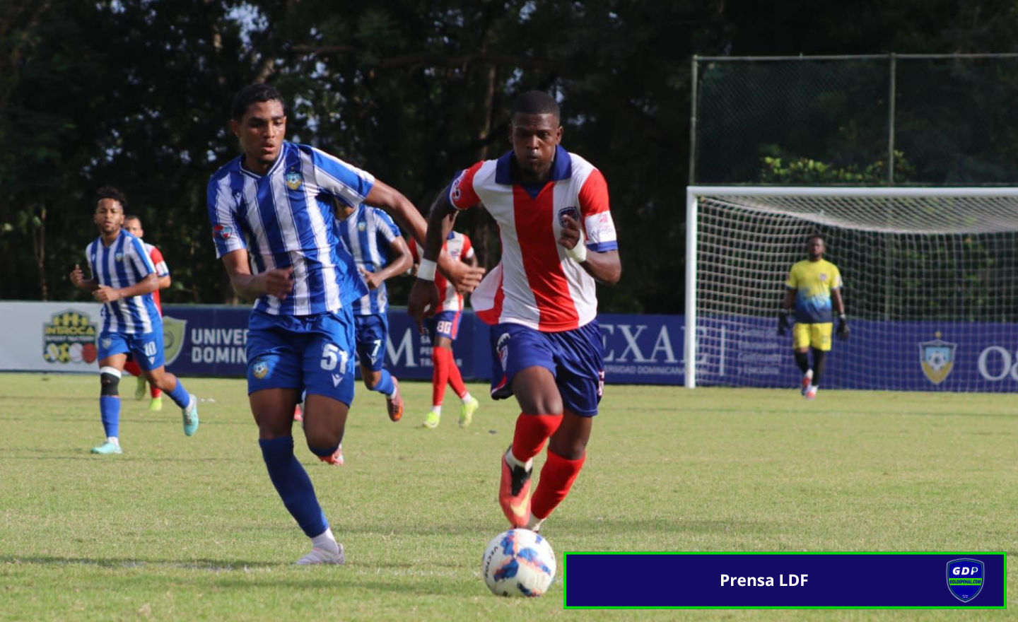 Delfines del Este - Liguilla LDF - Goldepenal (1)