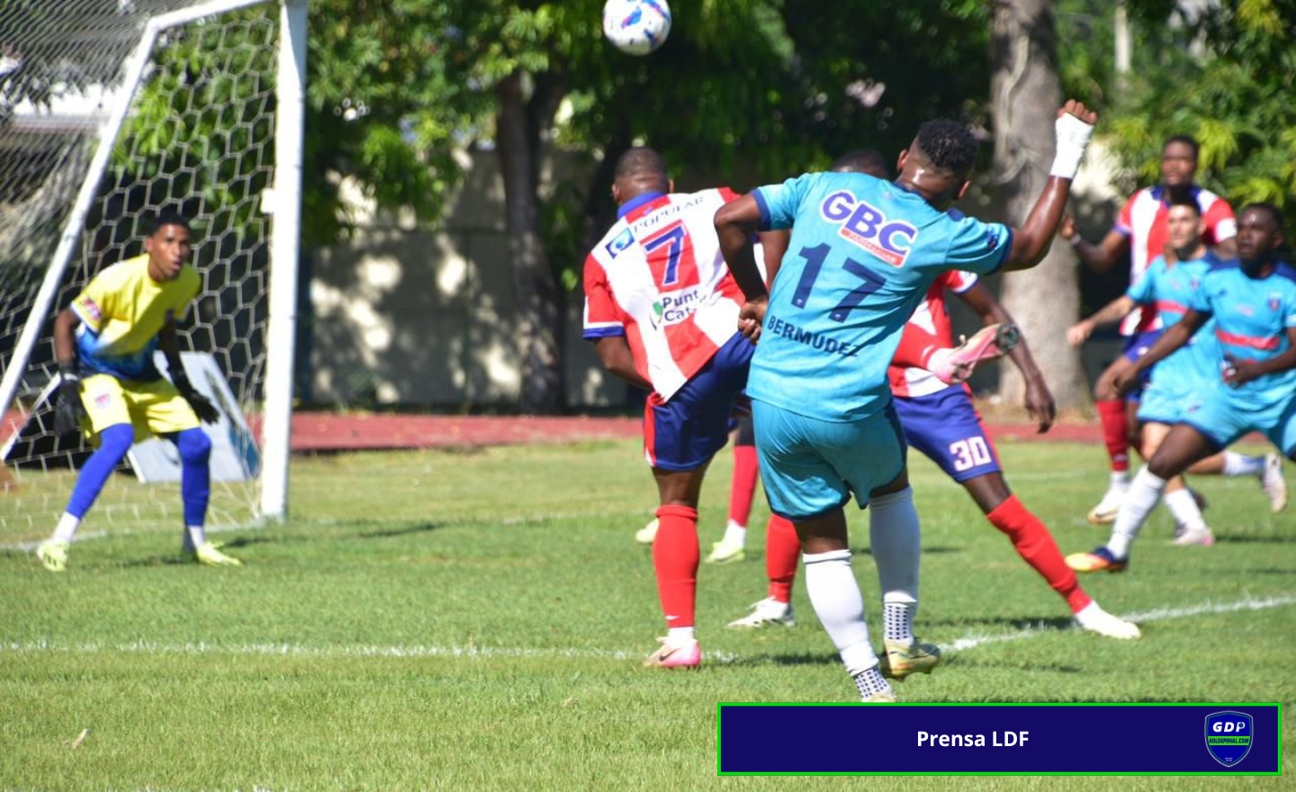 Salcedo FC vs Delfines del Este - Semifinales LDF 25-26 - Goldepenal