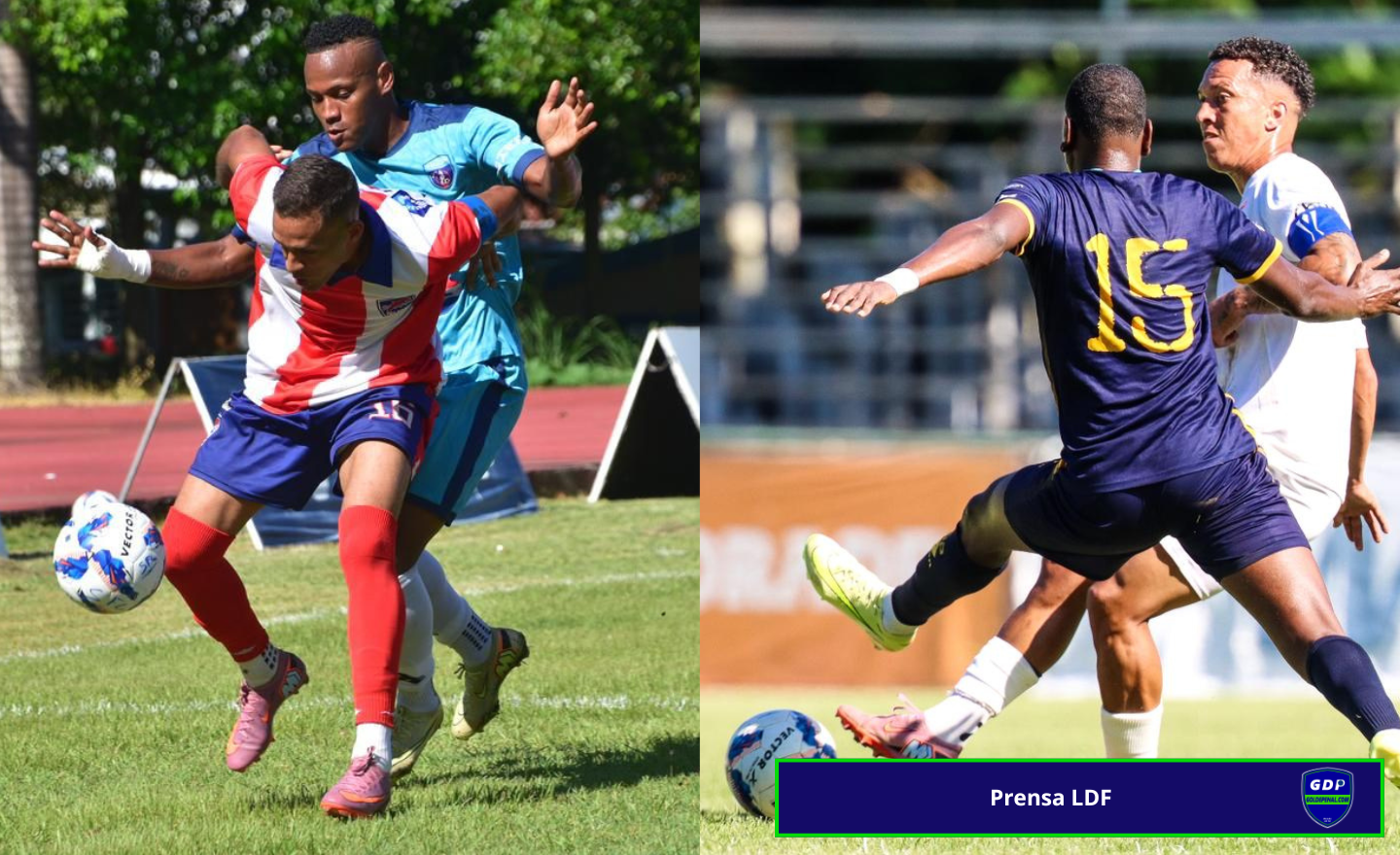 Semifinales LDF 2025-2026 - Goldepenal