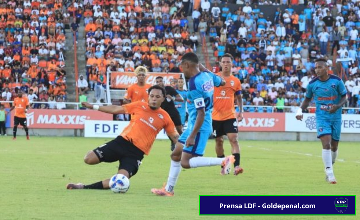 Final LDF 2026 - Goldepenal